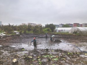 沅江河道鱼塘清淤